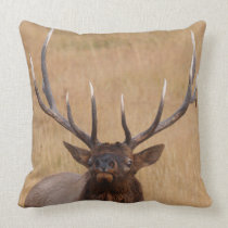 bull elk pillows