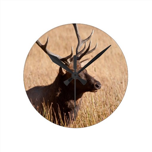 Bull Elk Wall Clock