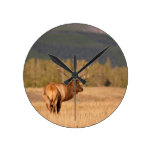 Bull Elk Wall Clocks