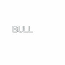 BULL embroidered shirts