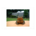 Bull Frog posters