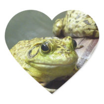 Bull Frog Sticker