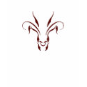 Bull Graphic T-Shirt