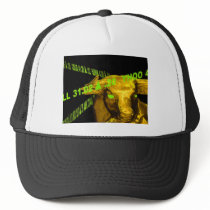 Bull Hats