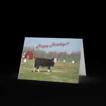 Bull Humbug Christmas Card cards