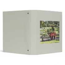 Bull in Pasture binders