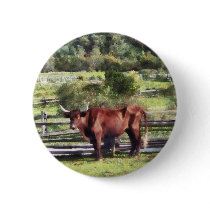 Bull in Pasture buttons