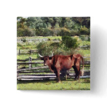 Bull in Pasture buttons