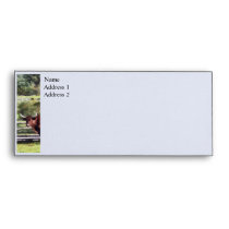 Bull in Pasture Envelopes