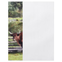 Bull in Pasture flyers