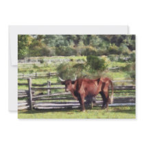 Bull in Pasture invitations