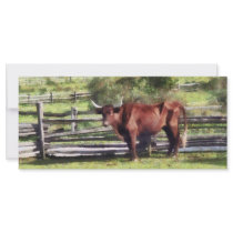Bull in Pasture Rack Card Template