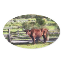 Bull in Pasture Oval Stickers