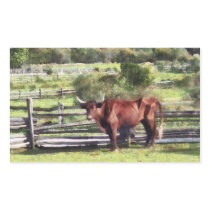 Bull in Pasture Rectangle Sticker