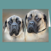 Bull Mastif cards