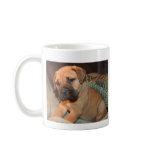 bull mastiff puppie mug