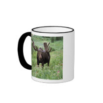 Bull moose Alces alces) in wildflowers, Coffee Mug
