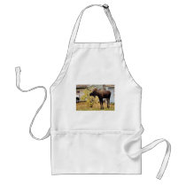 Bull moose apron