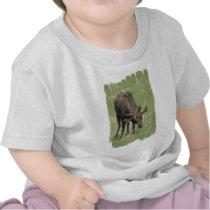 Bull Moose Baby T-Shirt