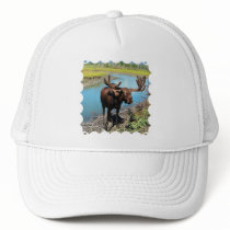 Bull Moose Baseball Hat