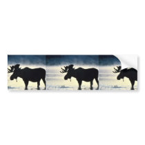 Bull moose bumper stickers