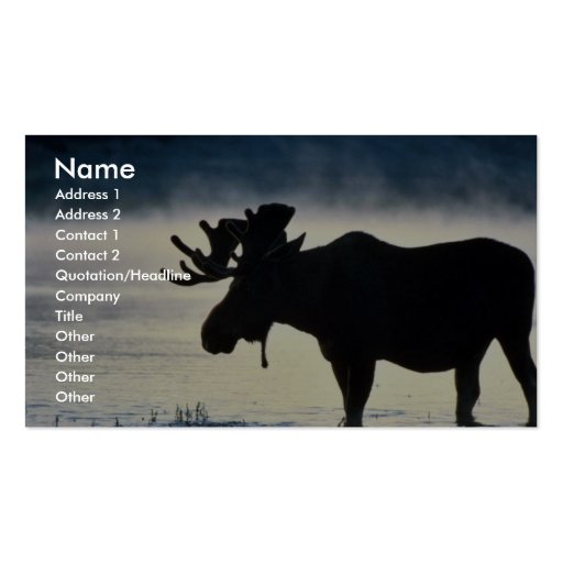 Bull moose business card templates (front side)