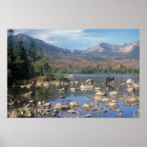 Bull Moose Feeding below Mount Katahdin Posters