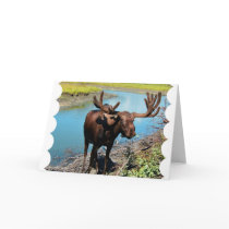 Bull Moose Greeting Card