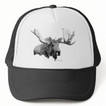 Bull Moose hats by WildlifeInk Bull Moose hats