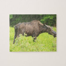 Bull Moose in the Spring puzzle
