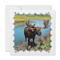 Bull Moose Invitation
