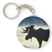 Bull moose keychains
