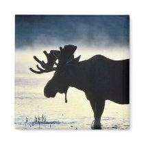 Bull moose fridge magnets