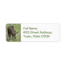 Bull Moose Mailing Label
