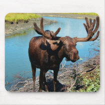 Bull Moose Mouse Pad