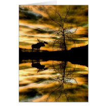 Bull Moose Reflections Card
