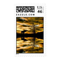 Bull Moose Reflections Postage postage