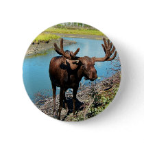 Bull Moose Round Pin