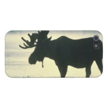 Bull Moose - Savvy iPhone 5 Cover