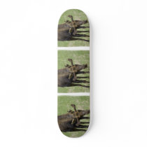 Bull Moose Skateboard