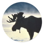 Bull moose round sticker