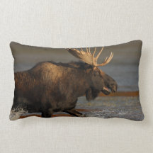 Bull Moose Throw Pillow