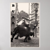 BULL, NY, poster