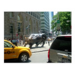 BULL ON BROADWAY POSTCARD