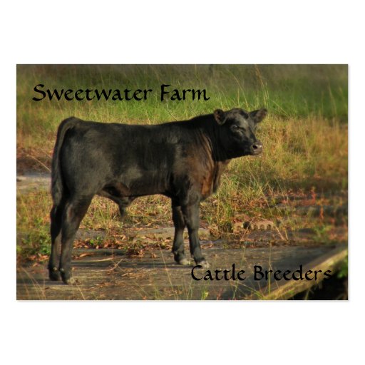 Bull or Cattle Farm Chubby Business Card (front side)