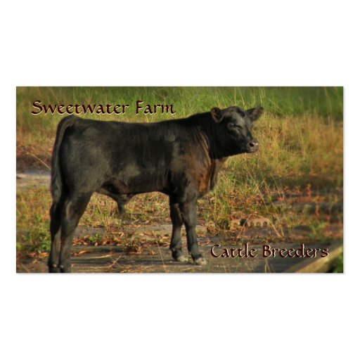 Bull or Cattle Farm Standard Business Card (front side)