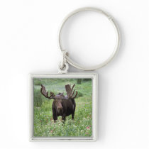 Bull ose Alces alces) in wildflowers, Keychain