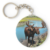 Bull ose Keychain