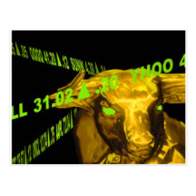 Bull Post Cards