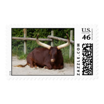 Bull Postage Stamp
